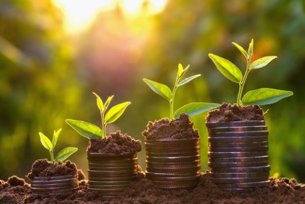 plants growing out of coins in the ground